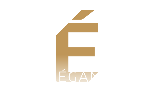 Élégance Loire, appartements neufs en centre-ville de Tours